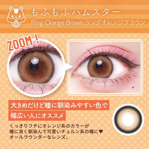 Wscale ダブルスケール Flurry フルーリー 明日花キララ 2025年12月新色 アドキット